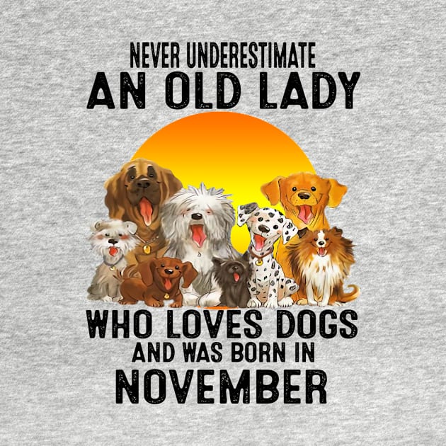 Never Underestimate An Old November Lady Who Loves Dogs by trainerunderline